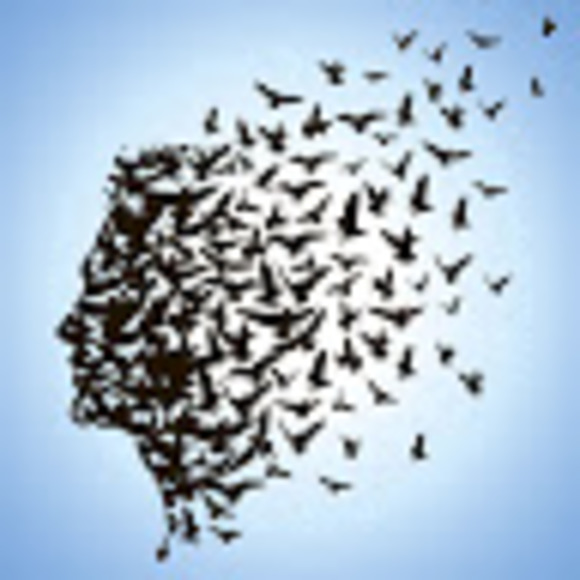 Meet your Posher, Observer - Picture 1 of 1